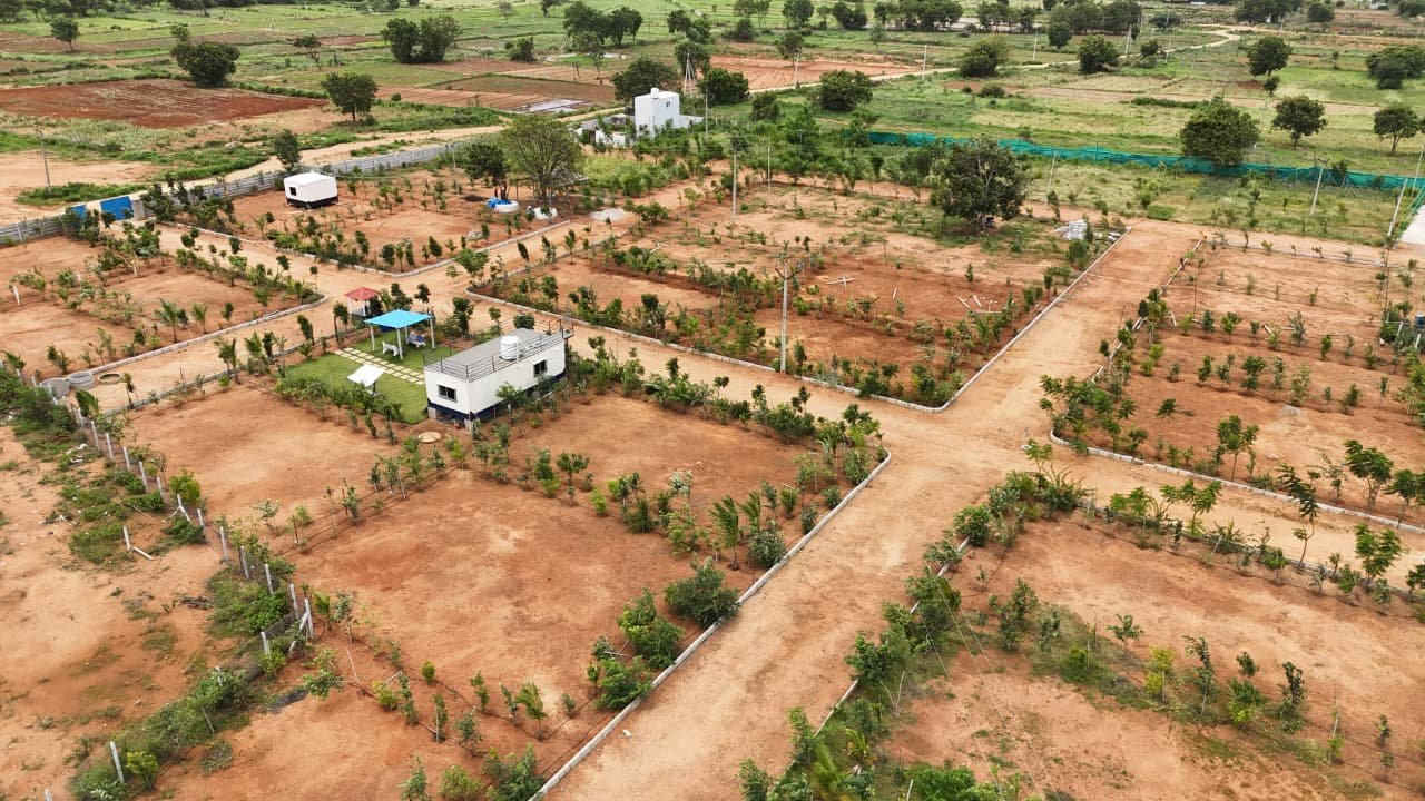 Artha Farmstay Layout