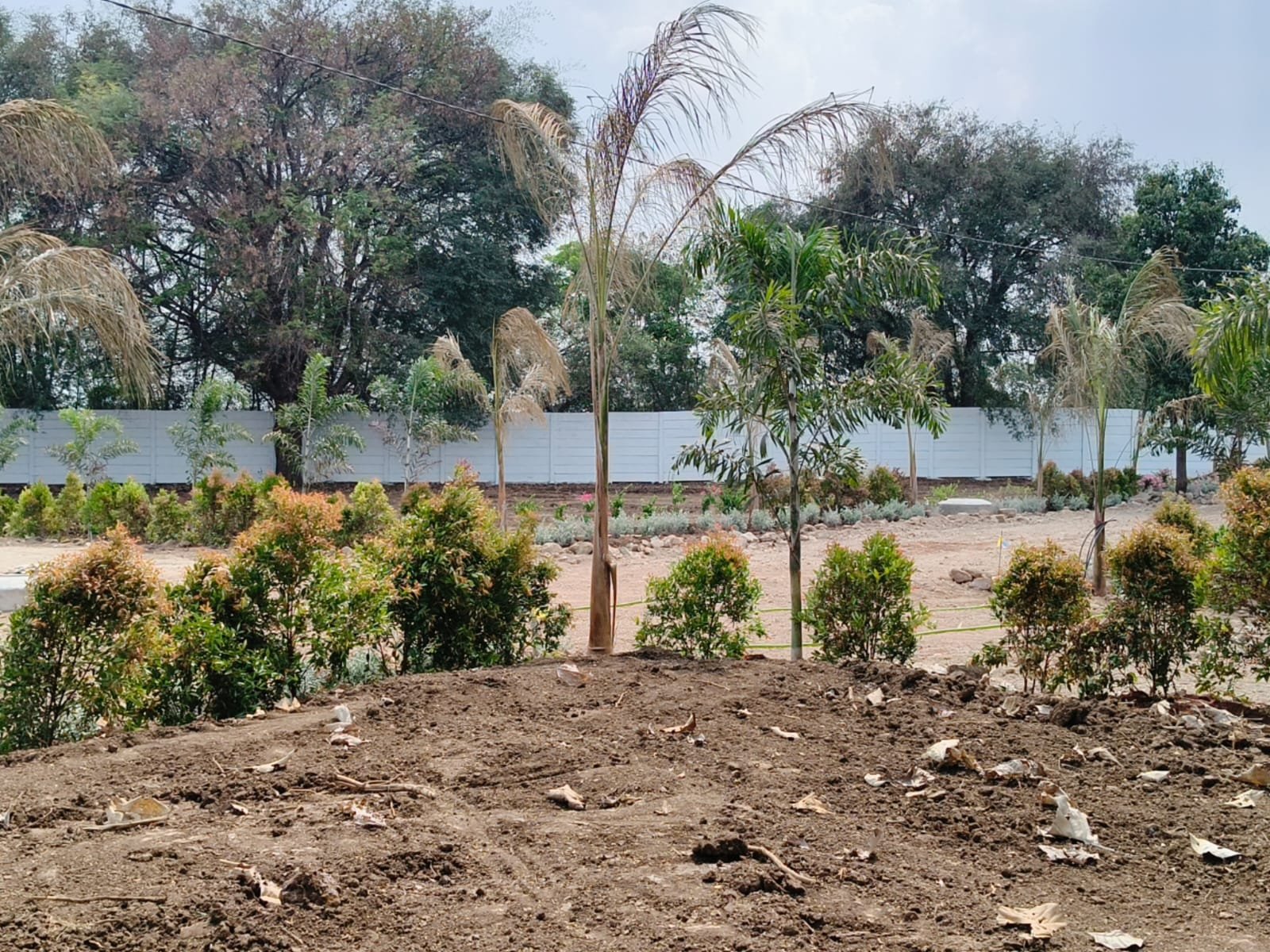 Artha Farmstay