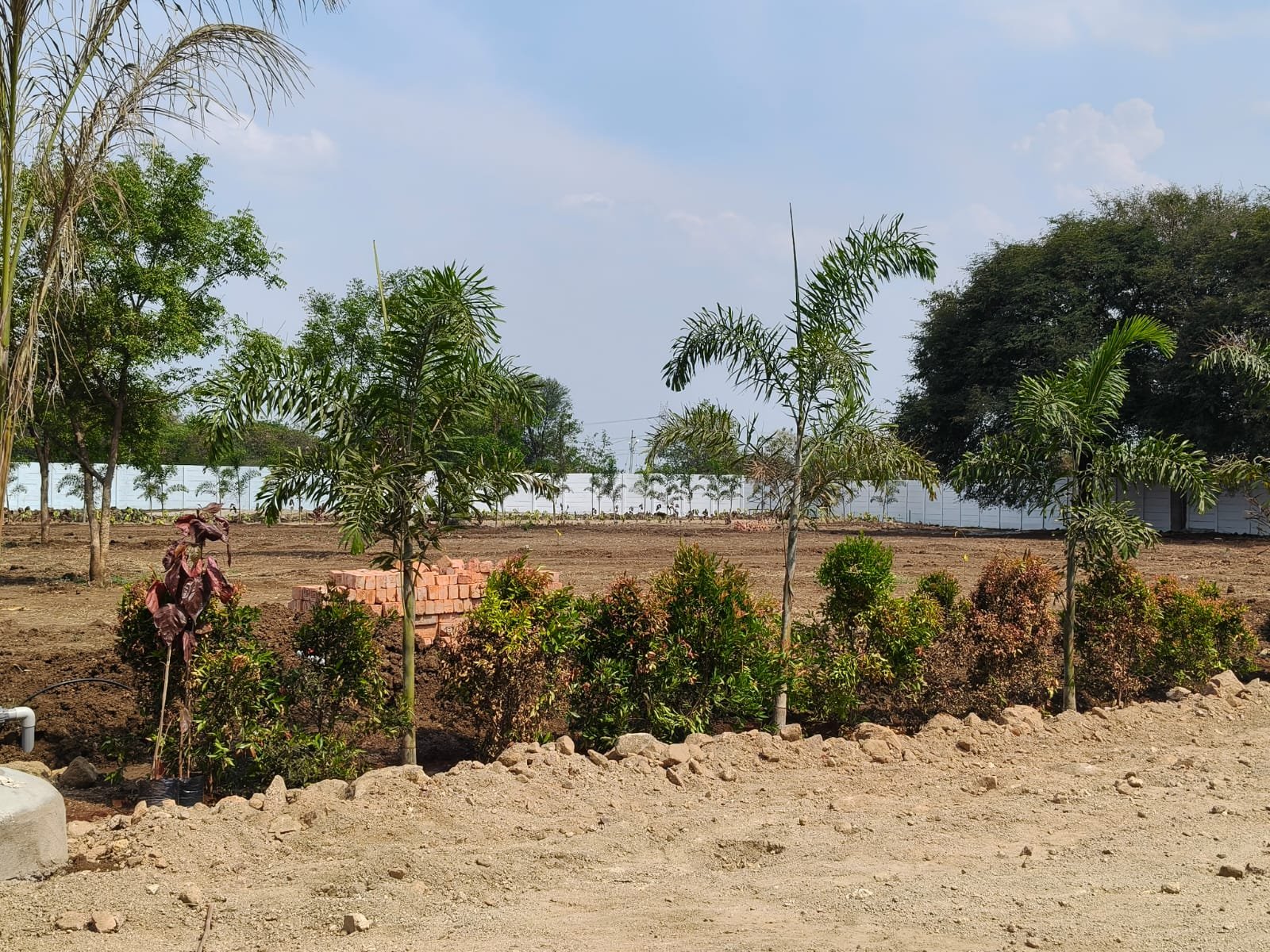 Project View
